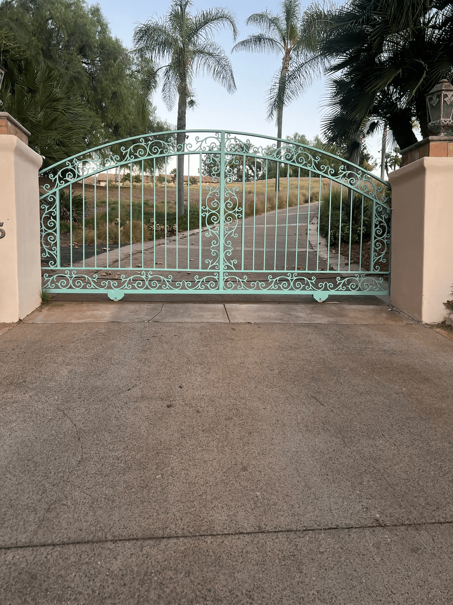 Front drive-way gate.